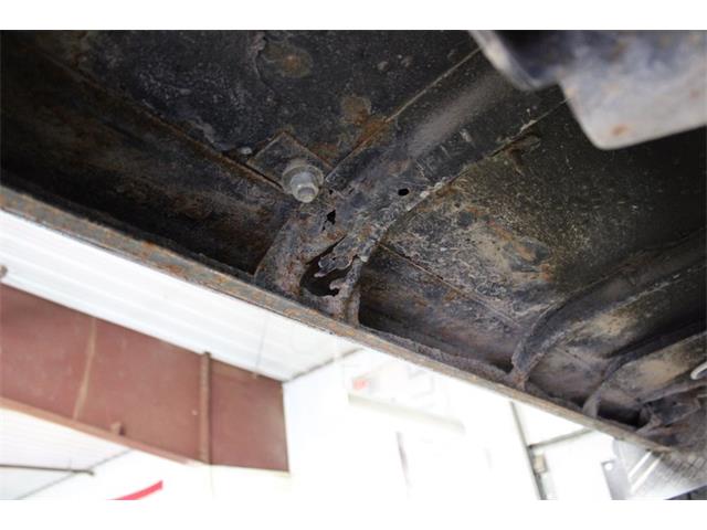 1979 International Scout (CC-2084975) for sale in Kentwood, Michigan