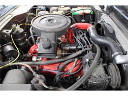 1979 International Scout (CC-2084975) for sale in Kentwood, Michigan