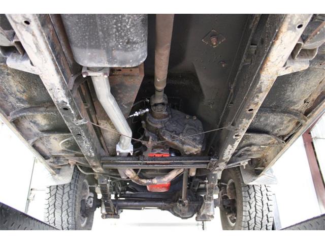 1979 International Scout (CC-2084975) for sale in Kentwood, Michigan