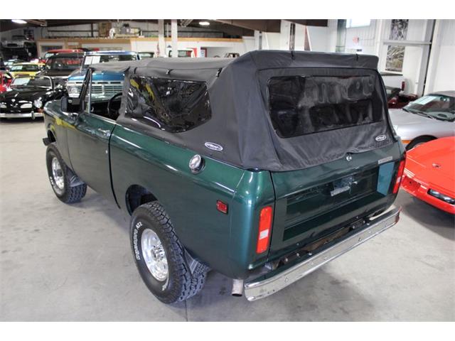 1979 International Scout (CC-2084975) for sale in Kentwood, Michigan