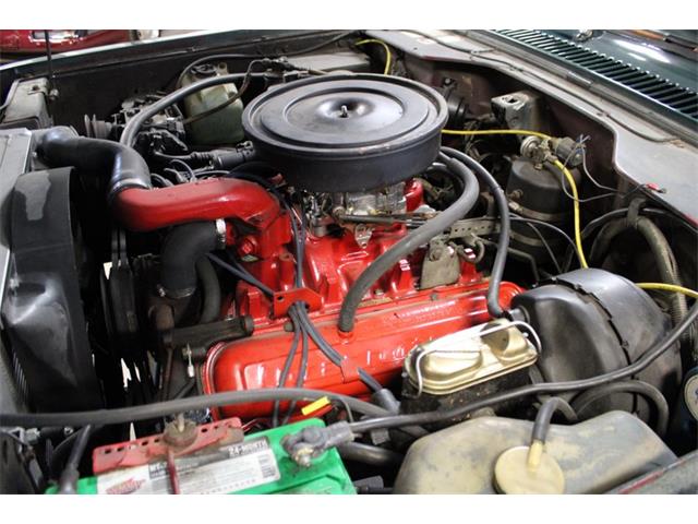 1979 International Scout (CC-2084975) for sale in Kentwood, Michigan