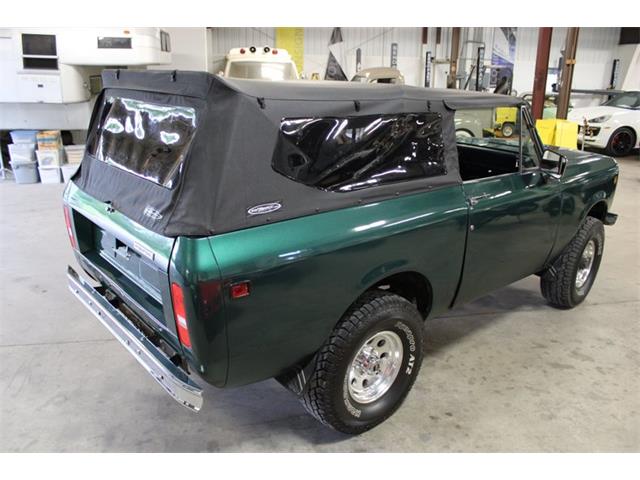 1979 International Scout (CC-2084975) for sale in Kentwood, Michigan