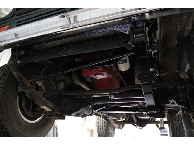 1979 International Scout (CC-2084975) for sale in Kentwood, Michigan
