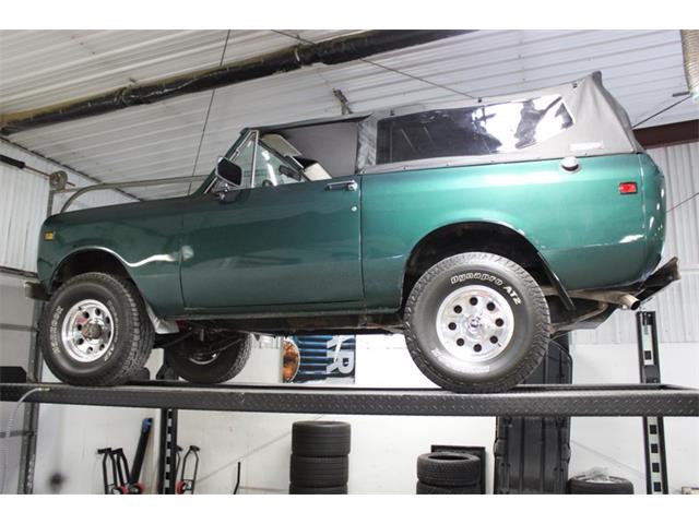 1979 International Scout (CC-2084975) for sale in Kentwood, Michigan