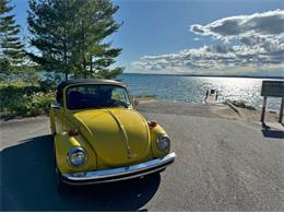 1978 Volkswagen Super Beetle (CC-2080050) for sale in Cadillac, Michigan
