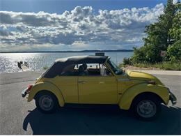 1978 Volkswagen Super Beetle (CC-2080050) for sale in Cadillac, Michigan