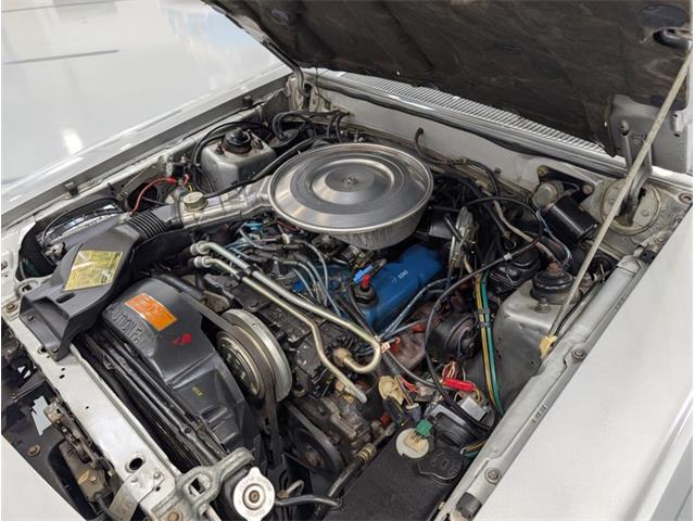 1980 Ford Thunderbird (CC-2085070) for sale in Greensboro, North Carolina