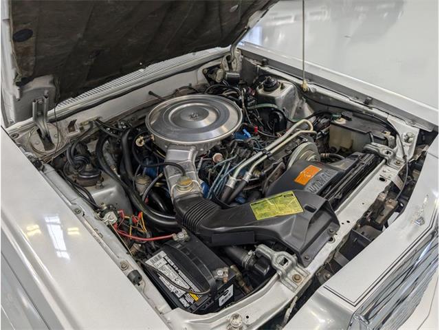 1980 Ford Thunderbird (CC-2085070) for sale in Greensboro, North Carolina