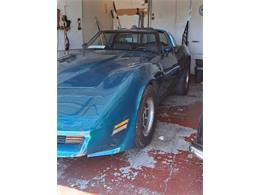 1981 Chevrolet Corvette (CC-2080051) for sale in Cadillac, Michigan