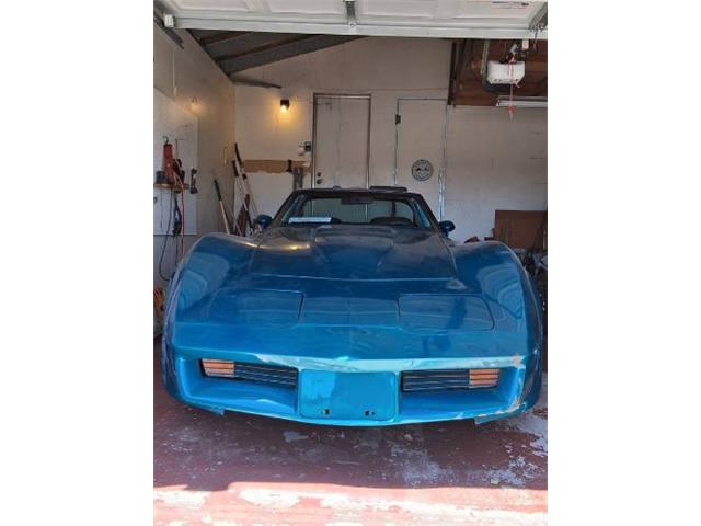 1981 Chevrolet Corvette (CC-2080051) for sale in Cadillac, Michigan