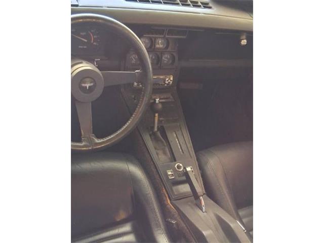 1981 Chevrolet Corvette (CC-2080051) for sale in Cadillac, Michigan