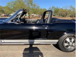 1968 Shelby GT350 (CC-2085108) for sale in Fredericksburg, Texas