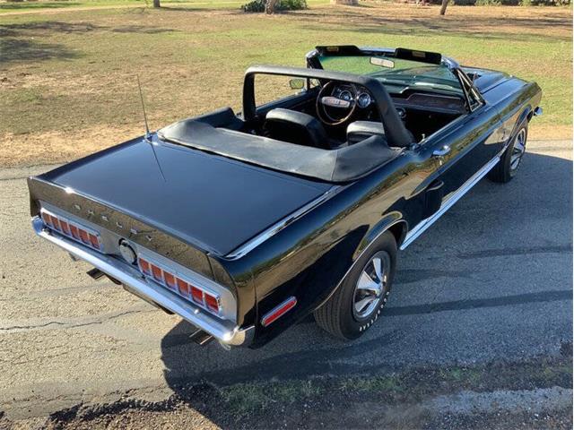 1968 Shelby GT350 (CC-2085108) for sale in Fredericksburg, Texas