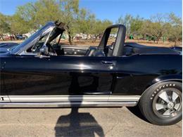 1968 Shelby GT350 (CC-2085108) for sale in Fredericksburg, Texas