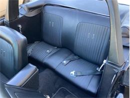 1968 Shelby GT350 (CC-2085108) for sale in Fredericksburg, Texas