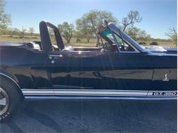 1968 Shelby GT350 (CC-2085108) for sale in Fredericksburg, Texas