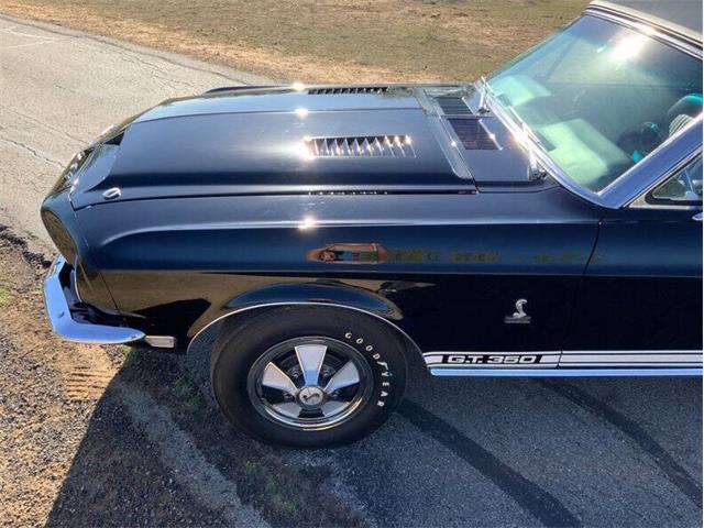 1968 Shelby GT350 (CC-2085108) for sale in Fredericksburg, Texas