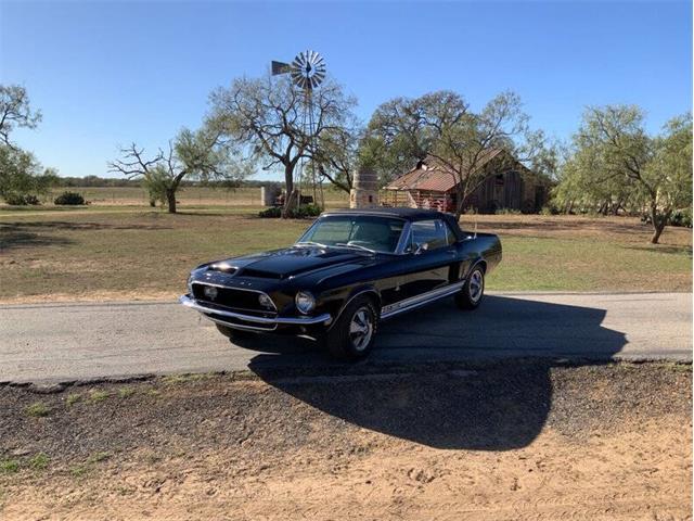 1968 Shelby GT350 (CC-2085108) for sale in Fredericksburg, Texas