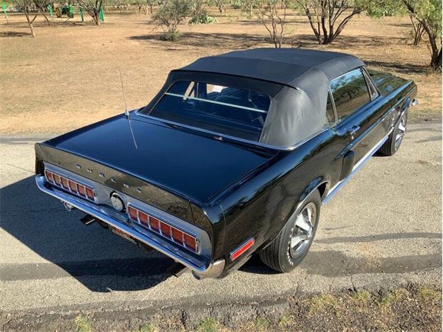 1968 Shelby GT350 (CC-2085108) for sale in Fredericksburg, Texas