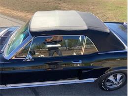 1968 Shelby GT350 (CC-2085108) for sale in Fredericksburg, Texas