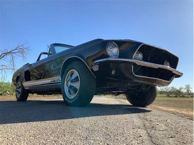 1968 Shelby GT350 (CC-2085108) for sale in Fredericksburg, Texas