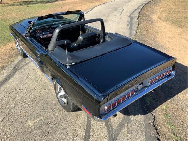 1968 Shelby GT350 (CC-2085108) for sale in Fredericksburg, Texas