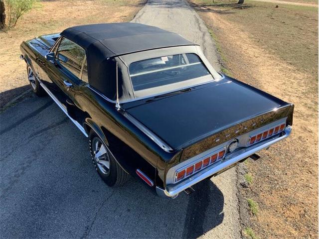 1968 Shelby GT350 (CC-2085108) for sale in Fredericksburg, Texas