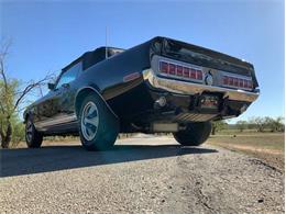 1968 Shelby GT350 (CC-2085108) for sale in Fredericksburg, Texas