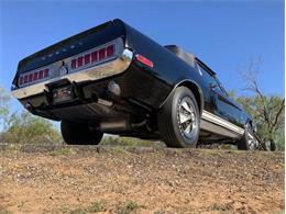 1968 Shelby GT350 (CC-2085108) for sale in Fredericksburg, Texas