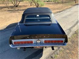 1968 Shelby GT350 (CC-2085108) for sale in Fredericksburg, Texas