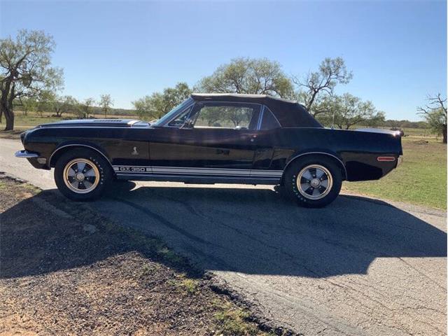 1968 Shelby GT350 (CC-2085108) for sale in Fredericksburg, Texas