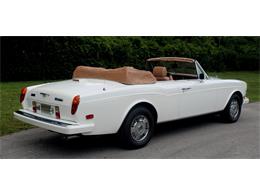 1995 Bentley Continental (CC-2085232) for sale in North Miami , Florida