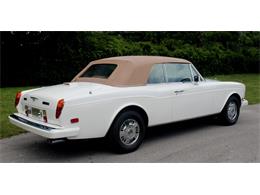 1995 Bentley Continental (CC-2085232) for sale in North Miami , Florida