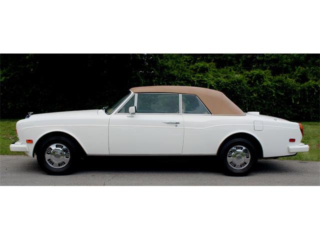 1995 Bentley Continental (CC-2085232) for sale in North Miami , Florida