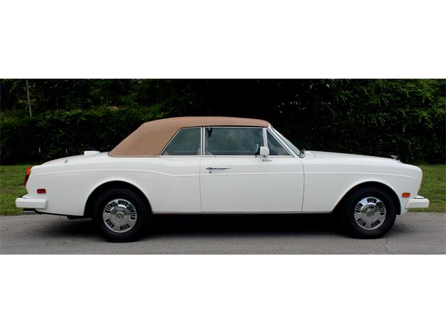 1995 Bentley Continental (CC-2085232) for sale in North Miami , Florida