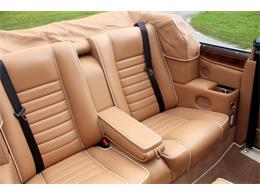 1995 Bentley Continental (CC-2085232) for sale in North Miami , Florida
