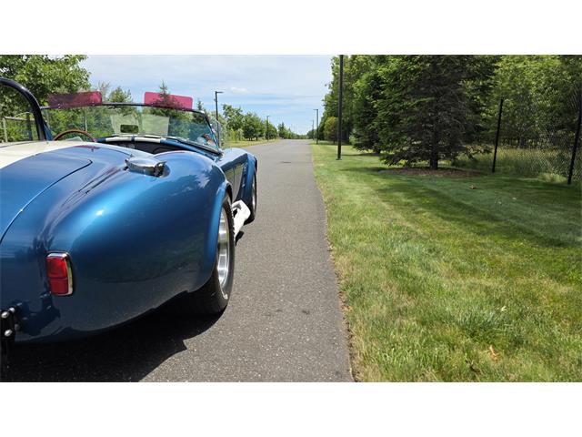 1966 Custom Cobra (CC-2085245) for sale in Farmingville, New York