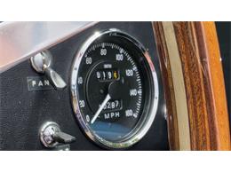 1966 Custom Cobra (CC-2085245) for sale in Farmingville, New York