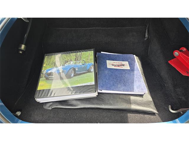 1966 Custom Cobra (CC-2085245) for sale in Farmingville, New York