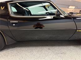 1979 Pontiac Firebird (CC-2085333) for sale in Bradenton, Florida