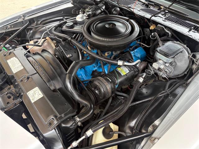 1981 Chevrolet Camaro (CC-2085335) for sale in Bradenton, Florida