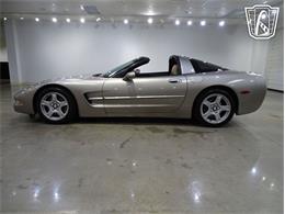 1998 Chevrolet Corvette (CC-2085337) for sale in O'Fallon, Illinois