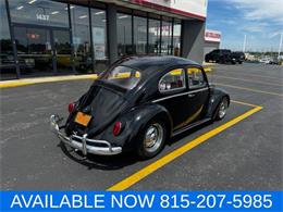 1964 Volkswagen Beetle (CC-2080535) for sale in Joliet, Illinois