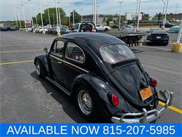 1964 Volkswagen Beetle (CC-2080535) for sale in Joliet, Illinois