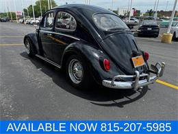 1964 Volkswagen Beetle (CC-2080535) for sale in Joliet, Illinois