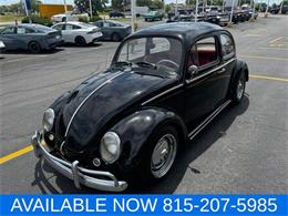 1964 Volkswagen Beetle (CC-2080535) for sale in Joliet, Illinois