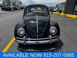 1964 Volkswagen Beetle (CC-2080535) for sale in Joliet, Illinois