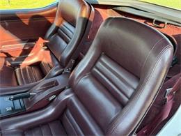 1980 Chevrolet Corvette (CC-2085361) for sale in Greensboro, North Carolina