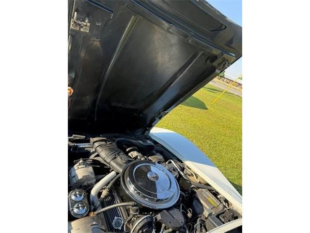 1980 Chevrolet Corvette (CC-2085361) for sale in Greensboro, North Carolina