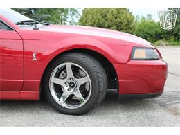 2003 Ford Mustang SVT Cobra (CC-2085365) for sale in Crete, Illinois